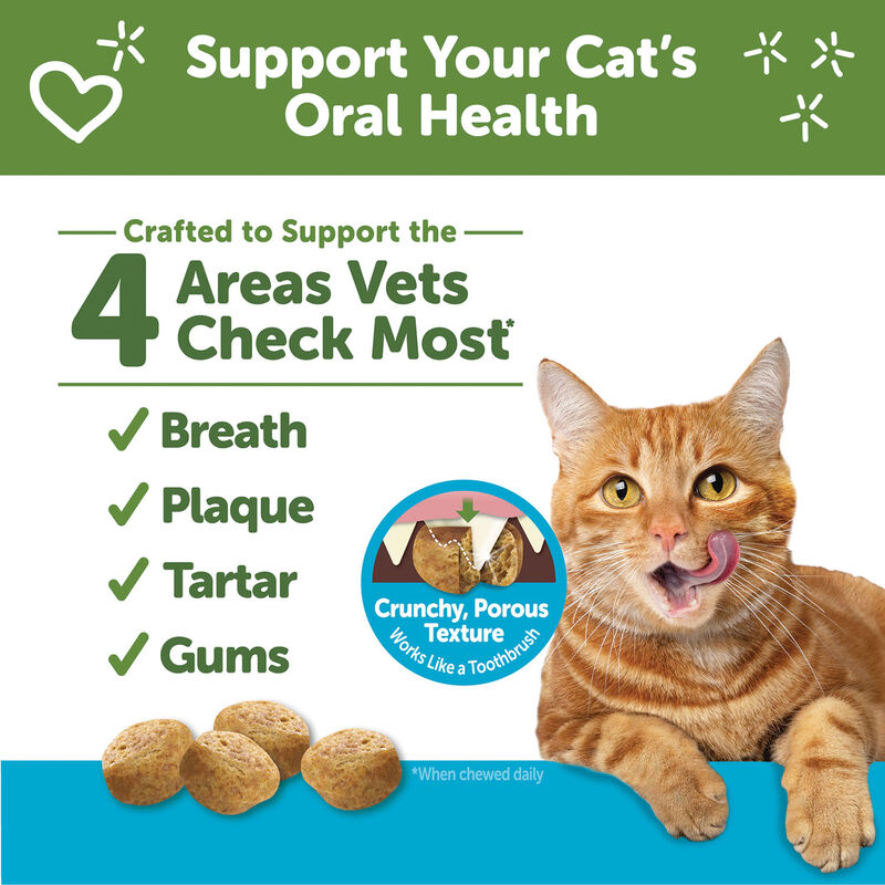 Whimzees, Feline Dental Treats - Chicken & Tuna - 56.69 g image number null