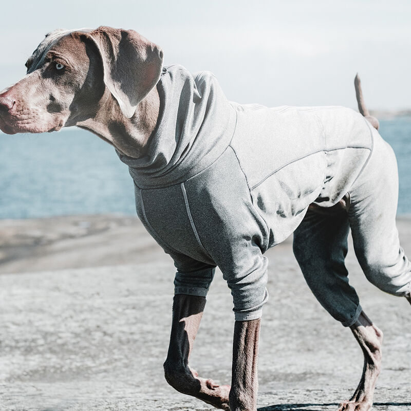Hurtta, Body Warmer - Carbon Grey image number null