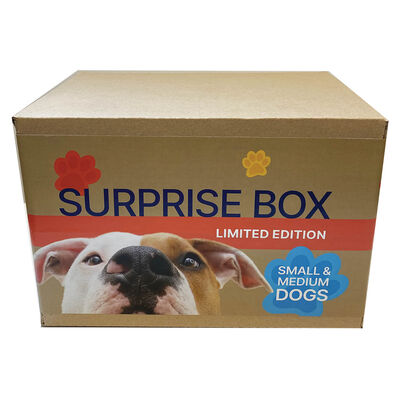 Surprise Box - Dog - Medium