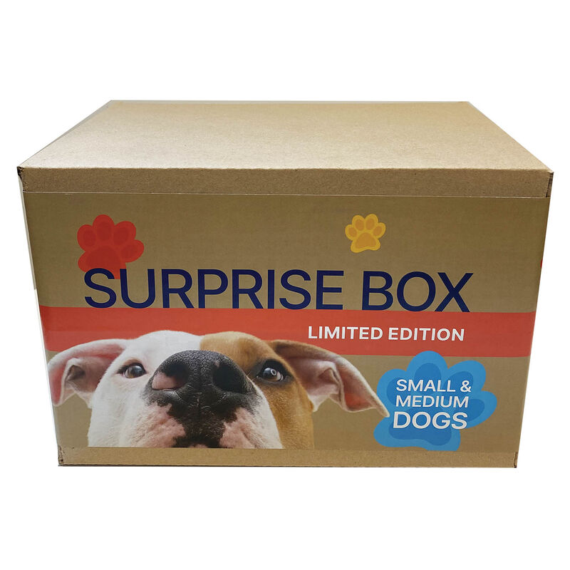Surprise Box - Dog - Medium image number null