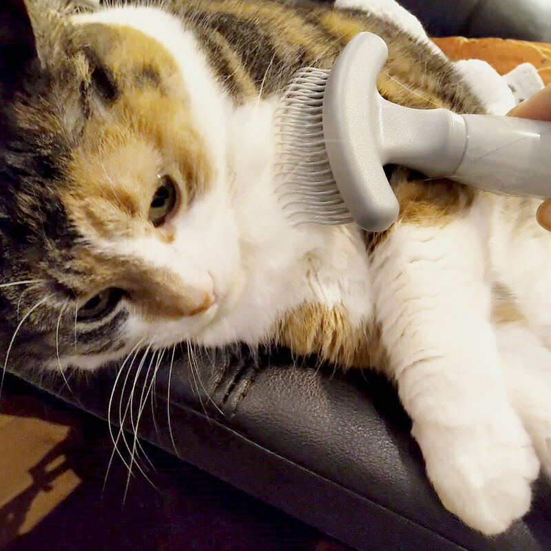 Wahl, Extreme De-Shedding Cat Rake image number null