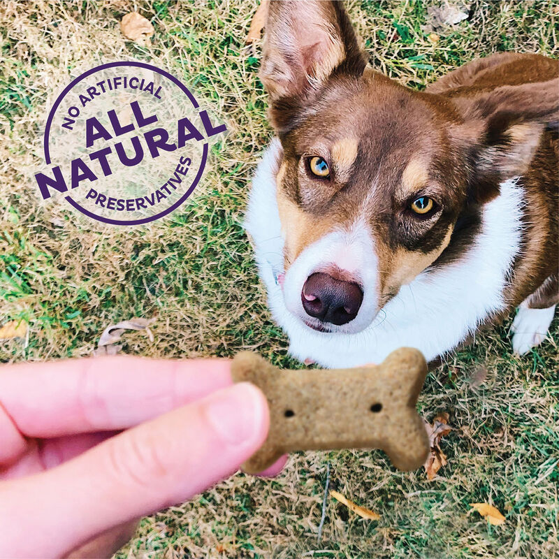 Old Mother Hubbard, P-Nuttier Biscuits - Small image number null