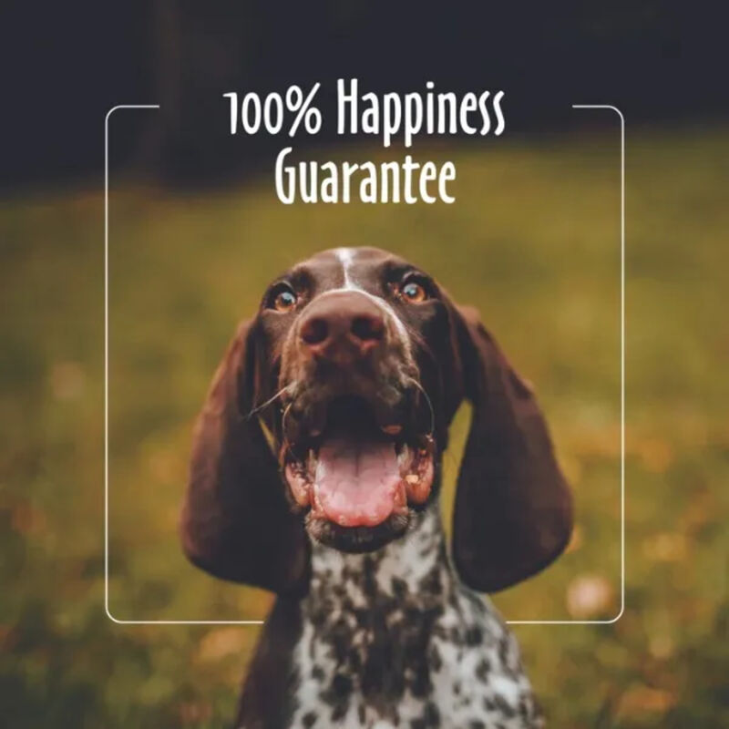 Earthbath, 3 in 1 Deodorizing Spritz Vanilla & Almond image number null