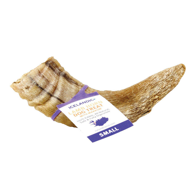 Icelandic+, Lamb Horn w/ Marrow - Small - 4-4.7" image number null