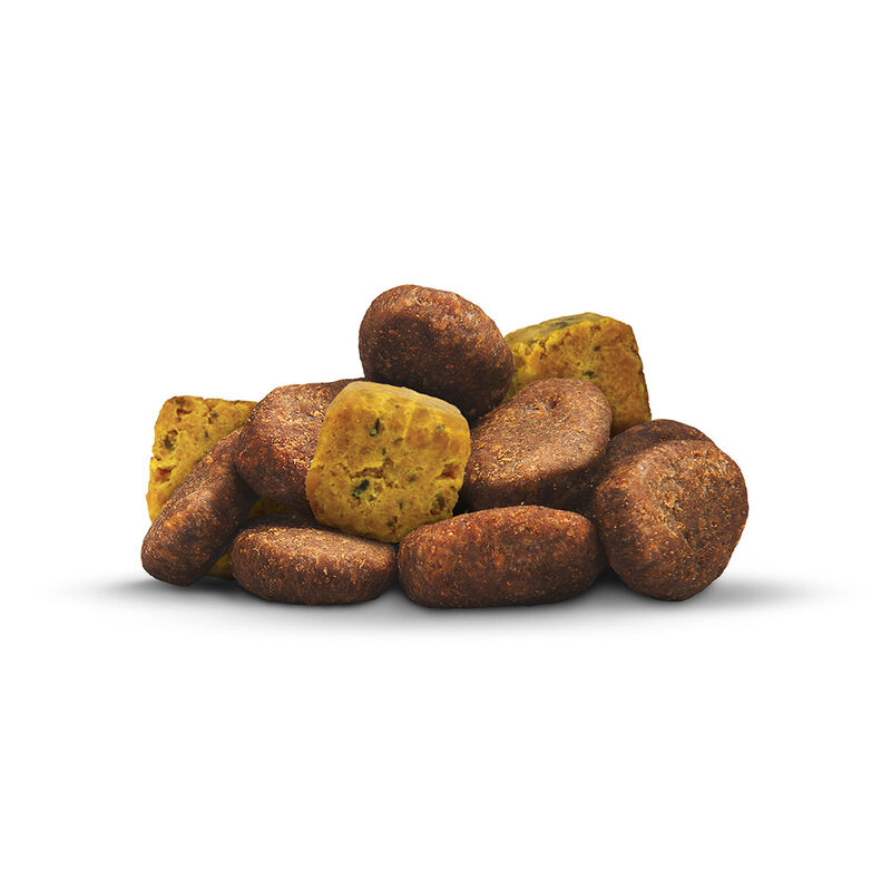 Nutrience, Care - Sensitive Skin & Stomach - Dry Dog Food image number null