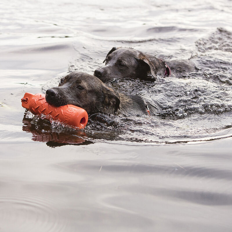 KONG, Training Dummy - Toss Dog Toy image number null