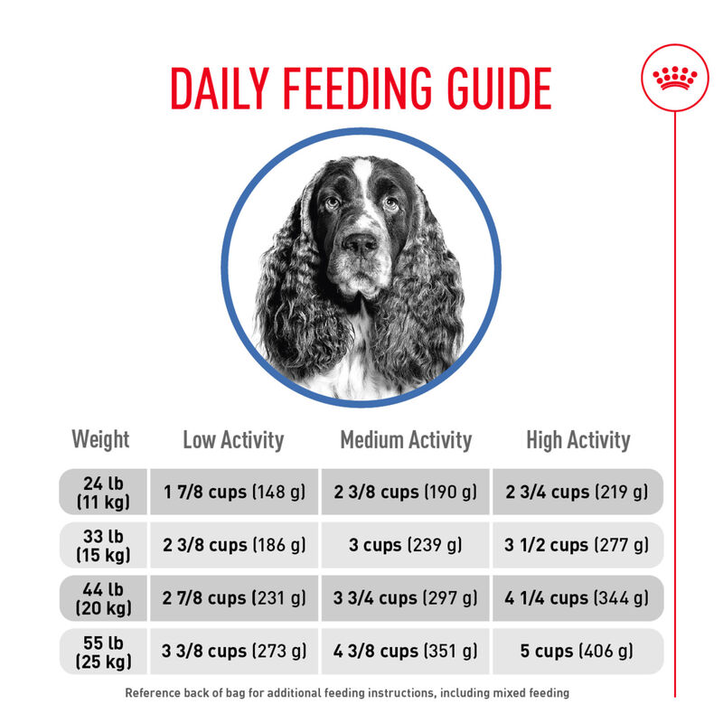 Royal Canin, Size Health Nutrition Medium Weight Care - Dry Dog Food image number null