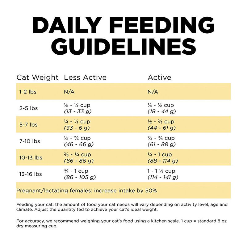 GO! SOLUTIONS, SENSITIVITIES Limited Ingredient Grain Free Duck Recipe for cats - Dry Cat Food image number null