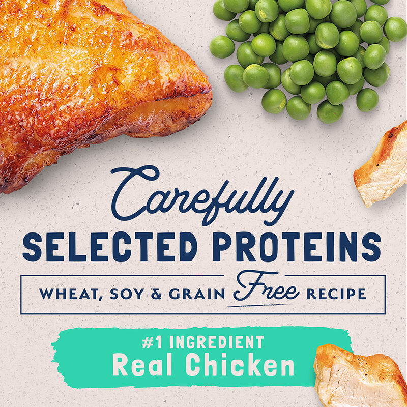 Natural Balance, Limited Ingredient Dry Cat Formula, Green Pea & Chicken - Dry Cat Food image number null