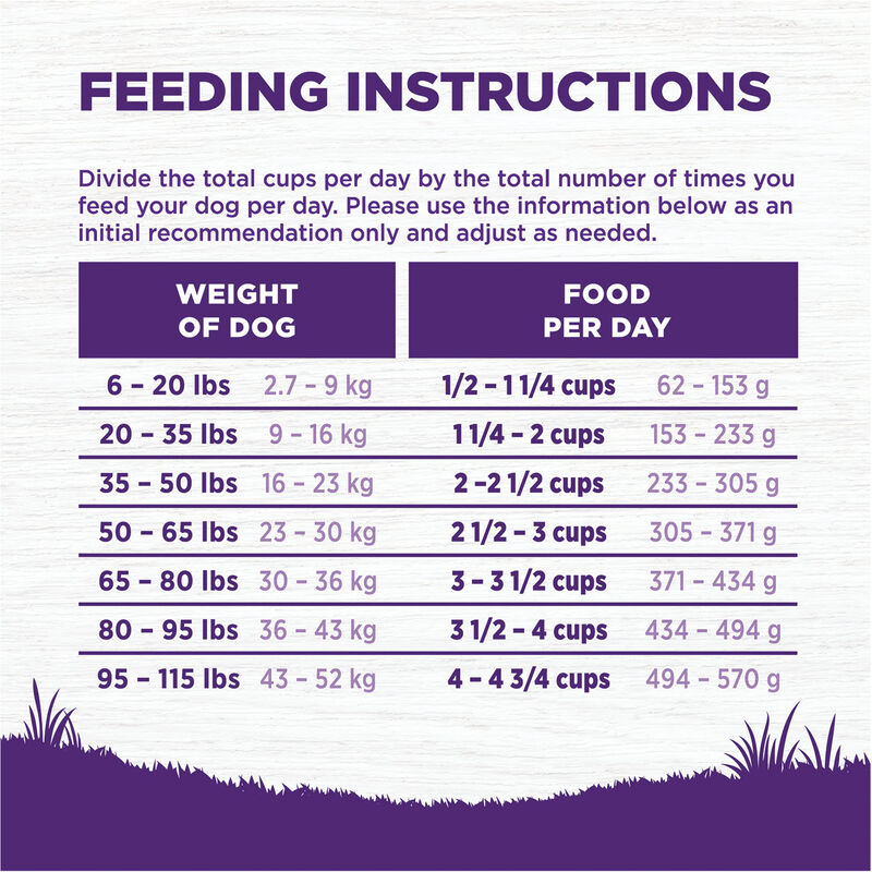 Wellness, Complete Health, Chicken - Dry Dog Food image number null