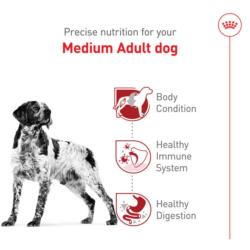 Royal Canin, Adult - Size Health Nutrition - Medium - Dry Dog Food image number null