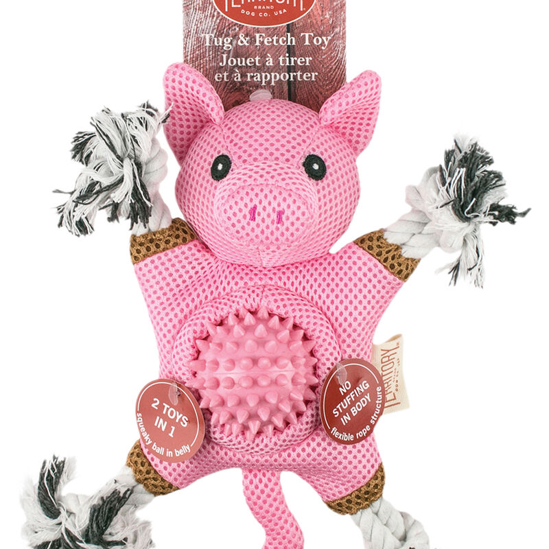 Territory, Farm & Friend 2-in-1 Toy, Pig image number null