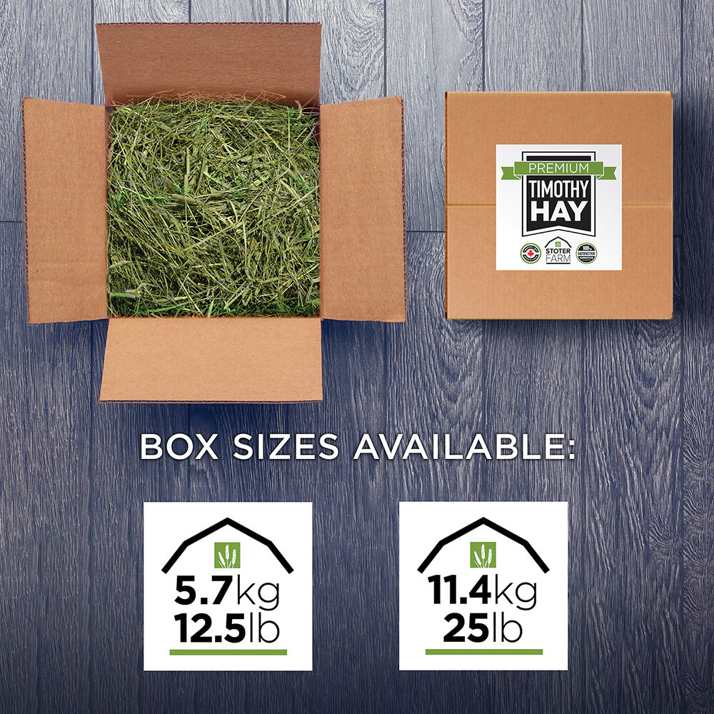 Stoter Farms, Premium Timothy Hay - Ren's Pets