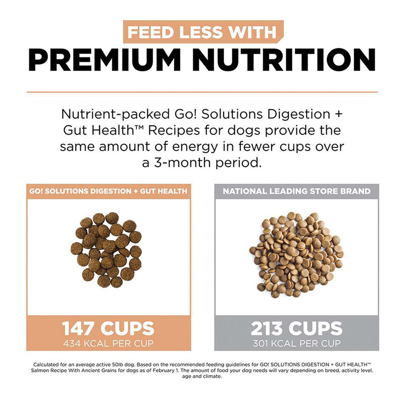 GO! SOLUTIONS, Adult - Digestion & Gut Health - Salmon w/ Ancient Grains - Dry Dog Food image number null