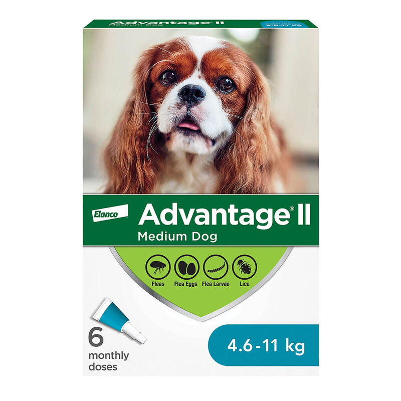 Advantage II, Medium Dog Flea Treatment & Protection, 4.6-11kg image number null