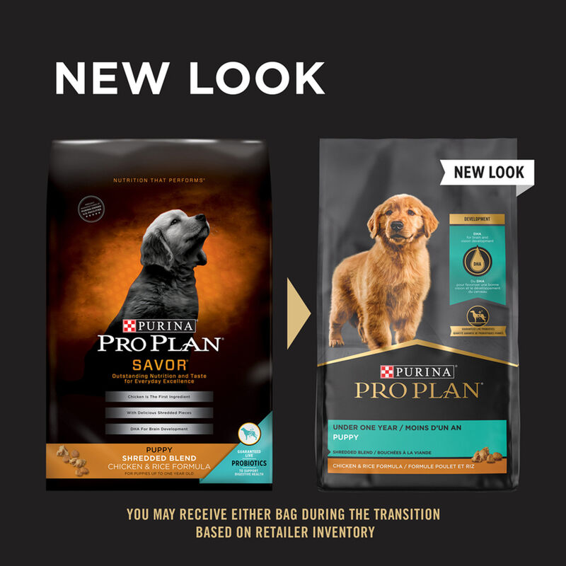 Purina Pro Plan Development Under One Year Puppy, Shredded Blend, Chicken & Rice Dry Dog Food Formul image number null