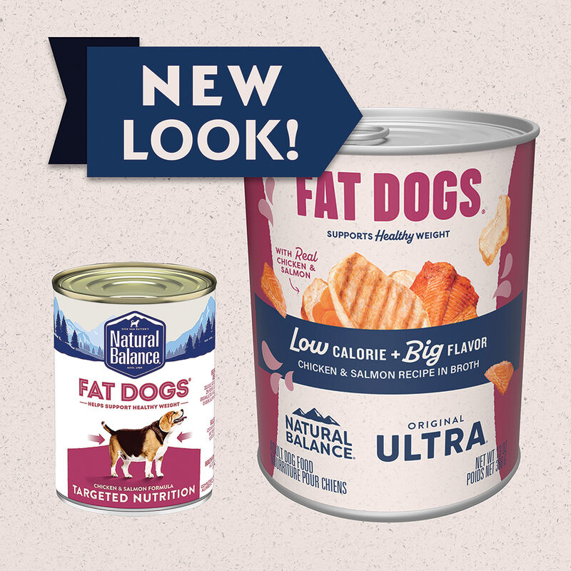 Natural Balance, Can, Adult - Fat Dog - Chicken & Salmon - 368 g - Wet Dog Food image number null