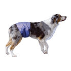 Pooch Pad, PoochPants - Male Wrap - Small - 12 - 15" image number null