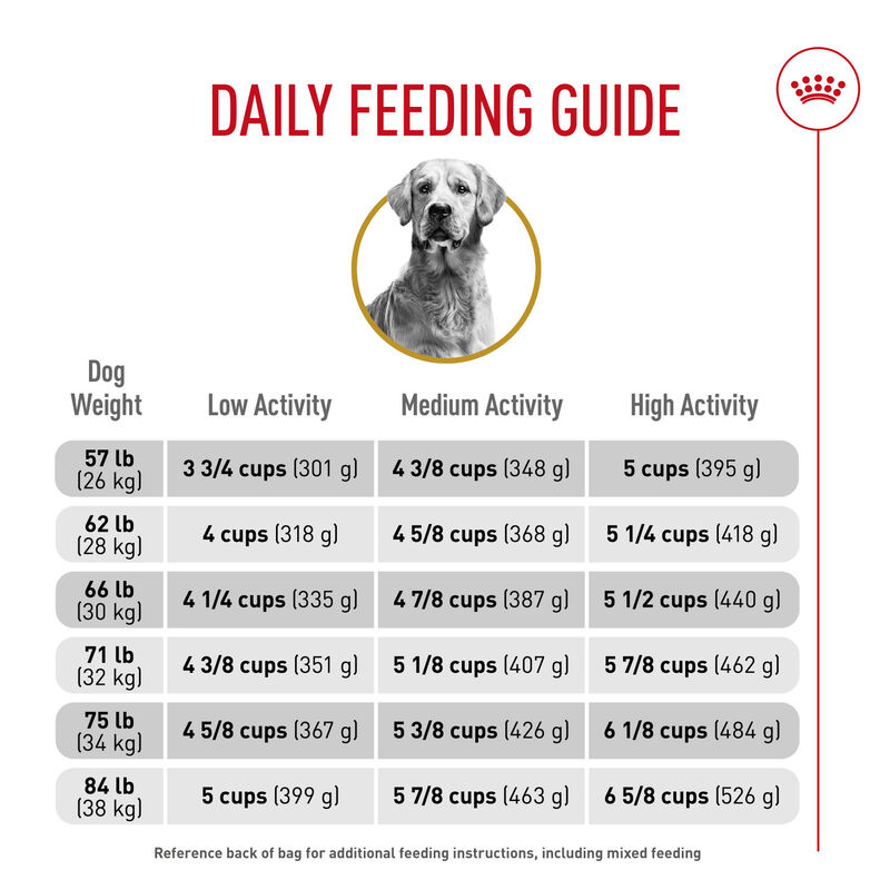 Royal Canin, Breed Health Nutrition Golden Retriever Adult - Dry Dog Food image number null