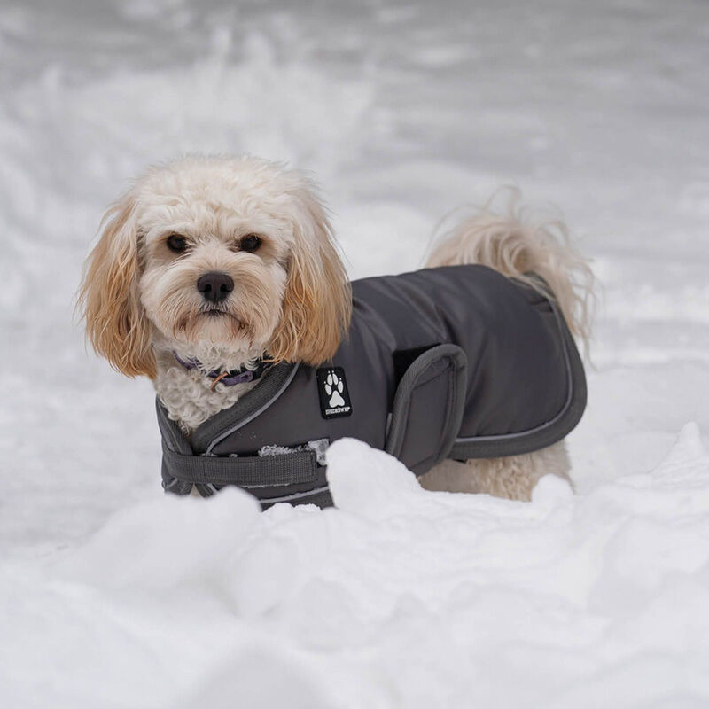 K9 Vail Dog Coat - Chimera image number null