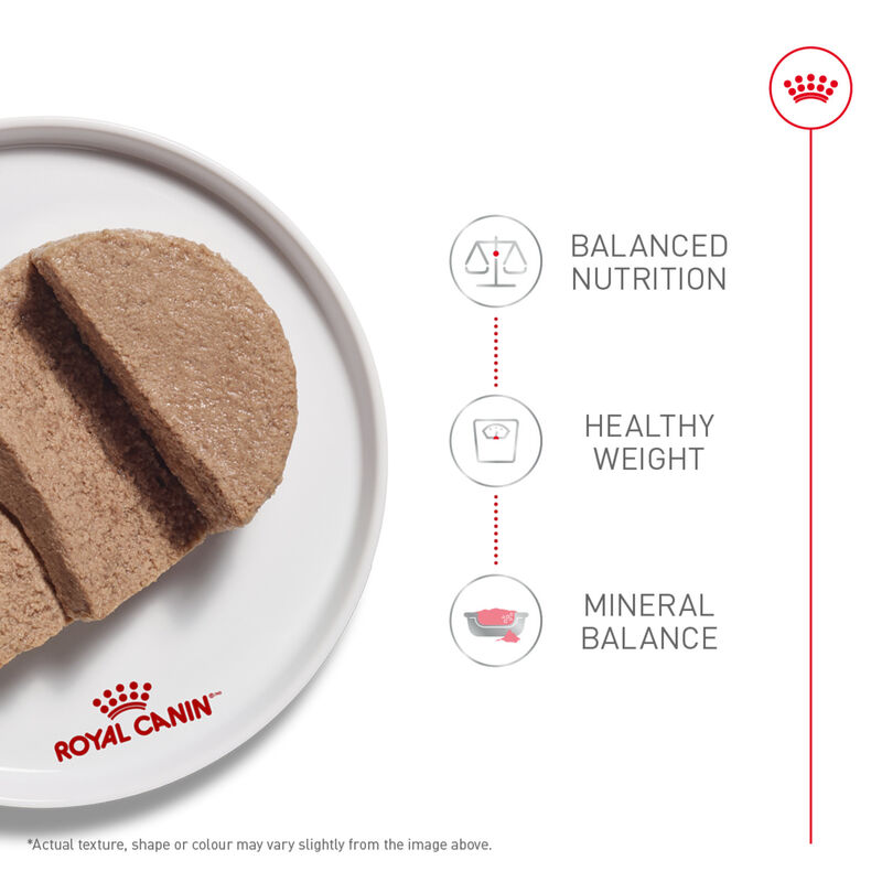 Royal Canin, Feline Health Nutrition Adult Instinctive Loaf In Sauce - Wet Cat Food image number null