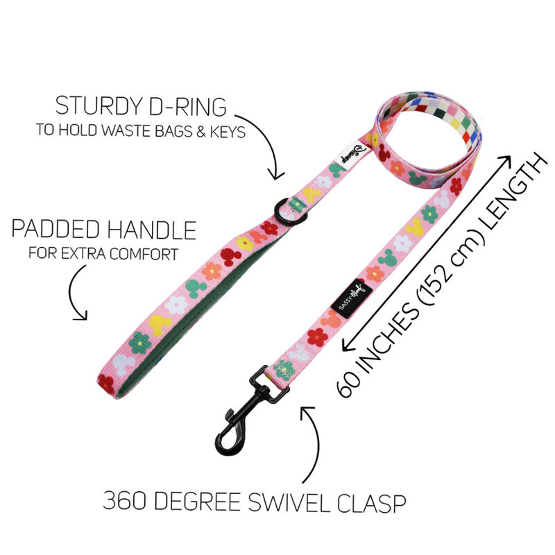 Sassy Woof, Minnie Mickey Collar and Leash Set for Dogs - Small image number null