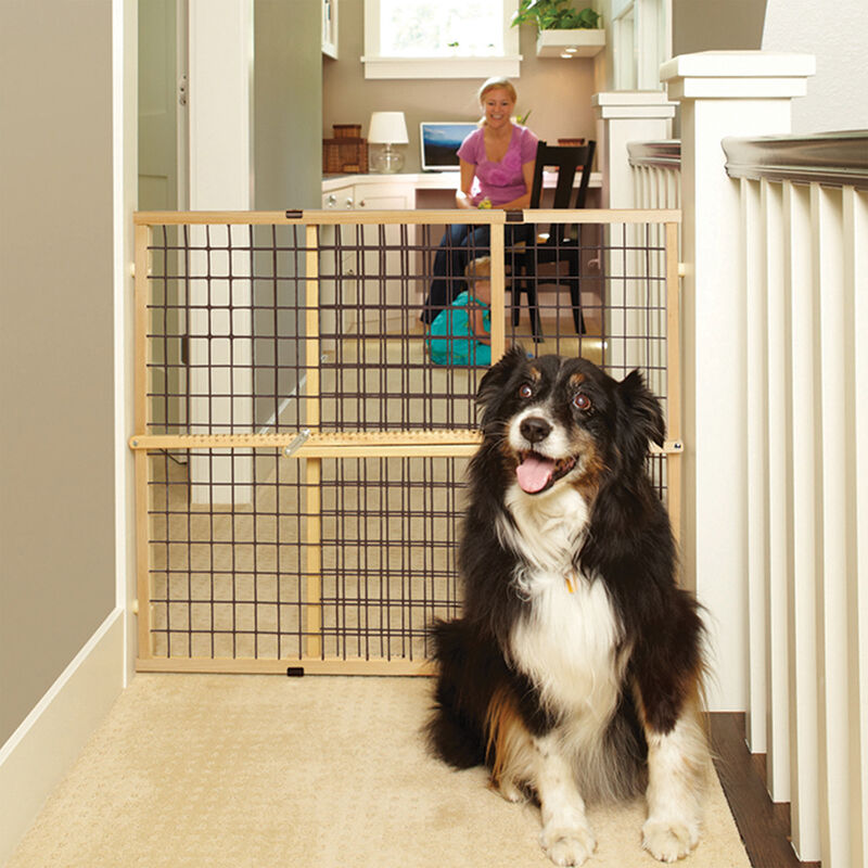 North States, Mypet Extra-Wide Wire Mesh Petgate image number null