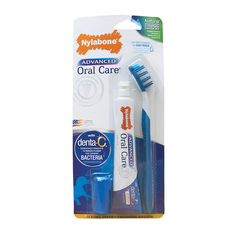 Nylabone, Advanced Oral Care, Natural Dental Kit image number null