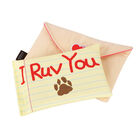 P.L.A.Y. Pet Lifestyle and You, Love Letter image number null