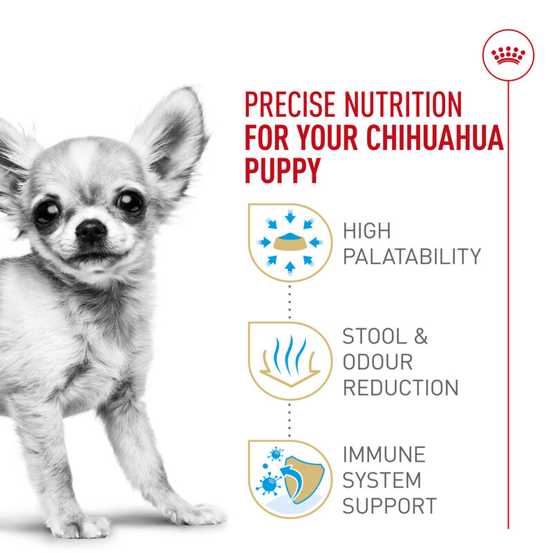Royal Canin, Breed Health Nutrition Chihuahua Puppy - Dry Dog Food image number null