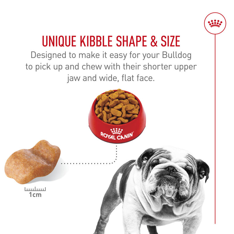 Royal Canin, Breed Health Nutrition Bulldog Adult - Dry Dog Food image number null