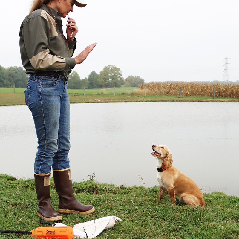Water & Woods, Professional Silent Dog Whistle image number null