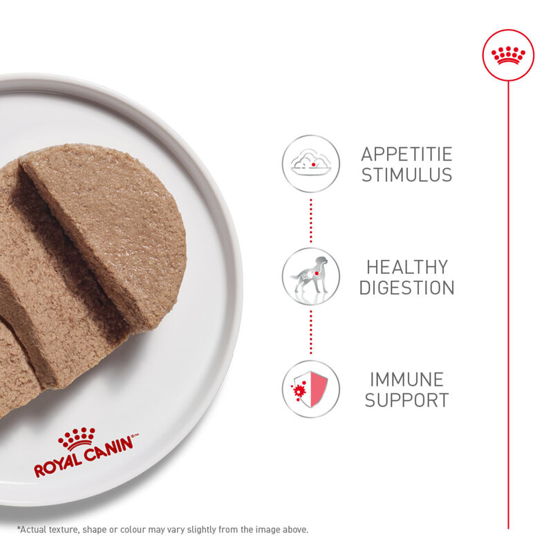 Royal Canin, Canine Health Nutrition Puppy Loaf In Sauce Canned Puppy - Wet Dog Food image number null