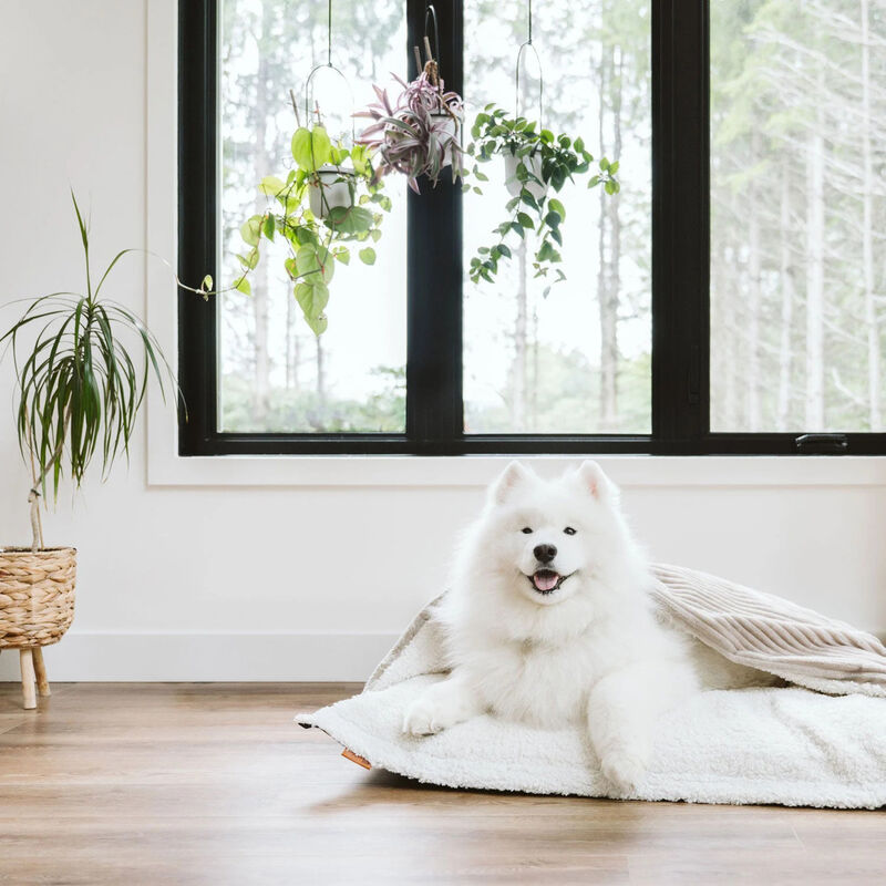 Cozy Cave Cloud Pillow - Taupe - Large image number null