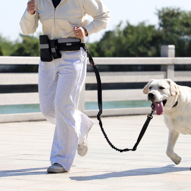 Trip to Go, Running Belt Bungee Dog Leash - Black image number null