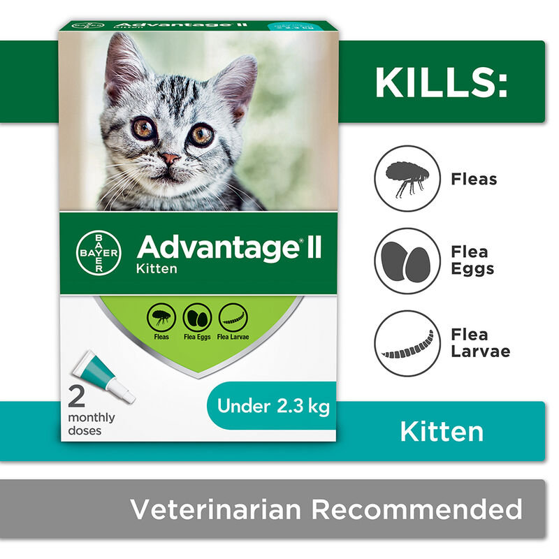 Advantage II, Kitten - <2.3 kg image number null