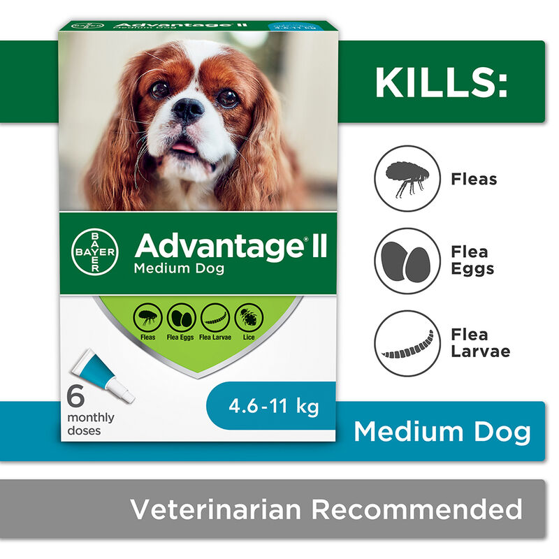 Advantage II, Medium Dog Flea Treatment & Protection, 4.6-11kg image number null