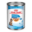 Royal Canin, Size Health Nutrition Large Puppy Chunks in Gravy 12/13oz - Wet Dog Food image number null