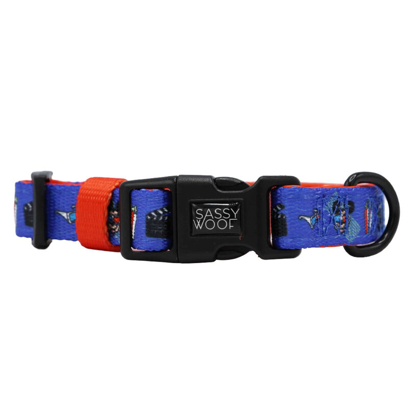 Sassy Woof, Mickey Cinema Collar and Leash Set for Dogs - Small image number null