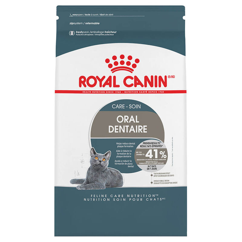 When Can Cats Eat Dry Food After Tooth Extraction: A Guide