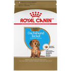 Royal Canin, Breed Health Nutrition Dachshund Puppy - Dry Dog Food image number null