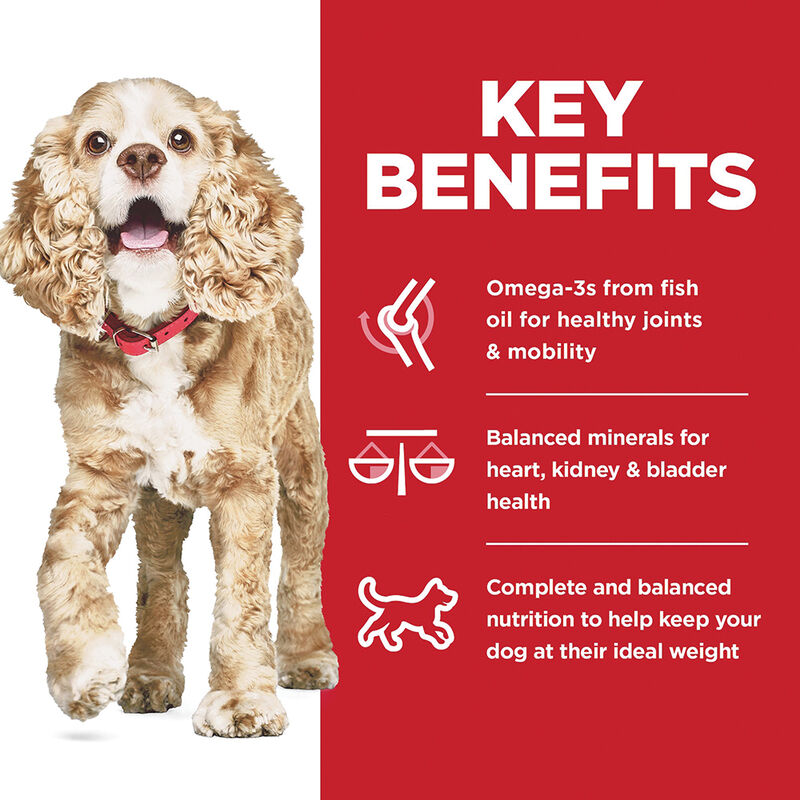 Science Diet, Adult 11+ Small Paws Chicken Meal, Barley & Brown Rice Recipe Dry Dog Food - Dry Dog F image number null