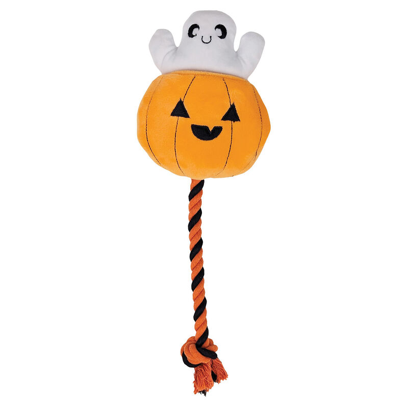 Zoom, Ghost Toy image number null