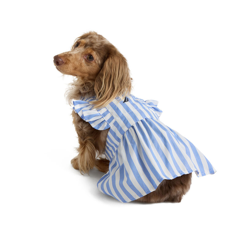 Nautica Striped Dress image number null