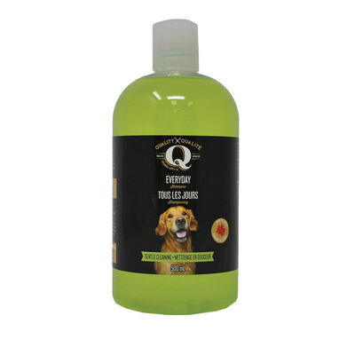 Q, Everyday Shampoo