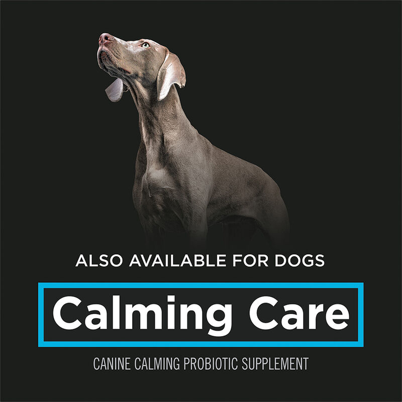 Pro Plan, Feline - Veterinary Supplements - Calming Care - 30 x 1g sachets image number null