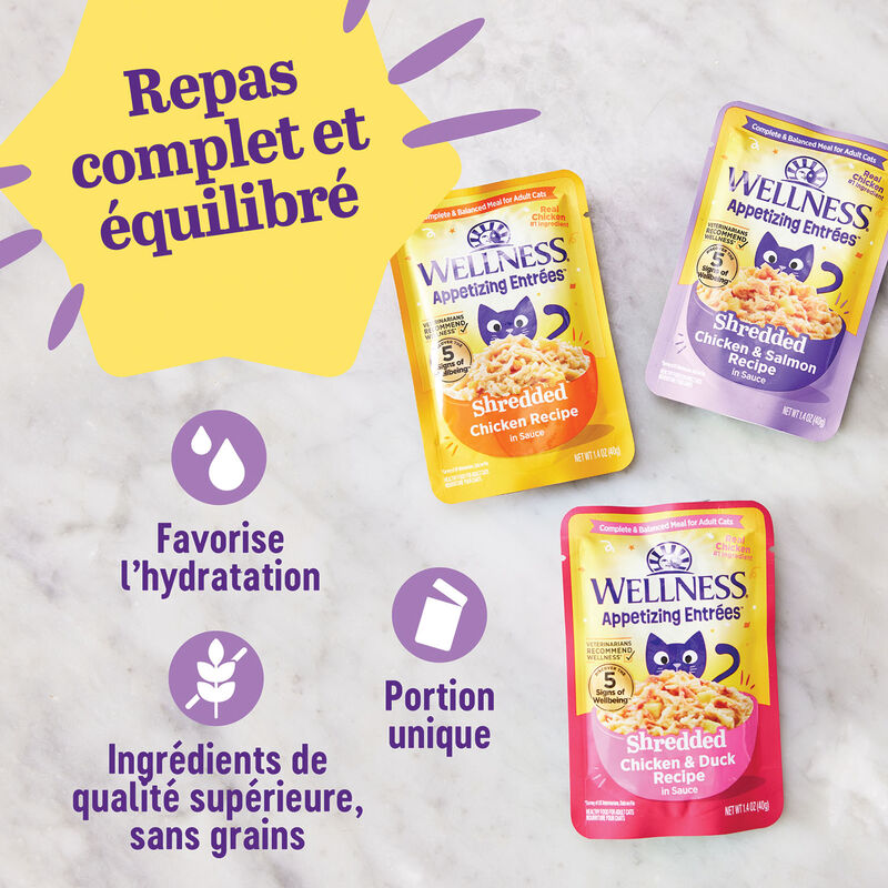 Wellness, Appetizing Entr&eacute;e - Shredded Chaicken & Salmon in Sauce - Wet Cat Food image number null