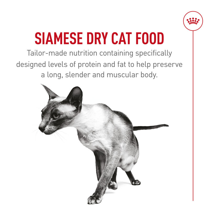 Royal Canin, Feline Breed Nutrition Siamese - Dry Cat Food image number null