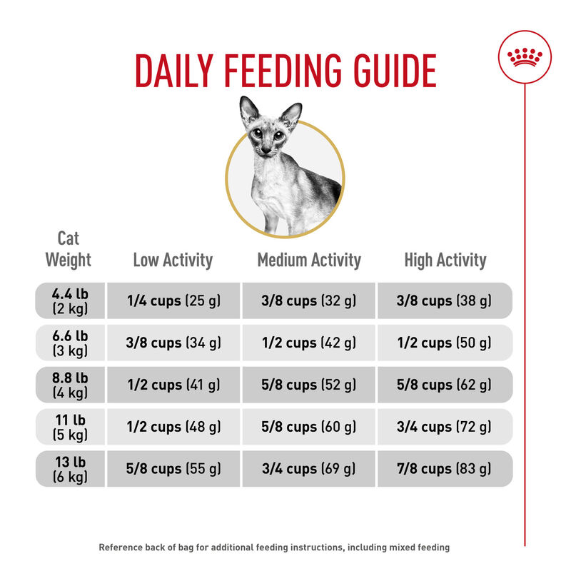 Royal Canin, Feline Breed Nutrition Siamese - Dry Cat Food image number null