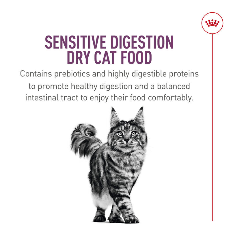 Royal Canin, Feline Health Nutrition Sensitive Digestion Dry Adult - Dry Cat Food image number null